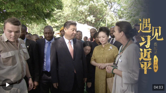 遇見習(xí)近平丨我非常想去抱一抱中國的大熊貓