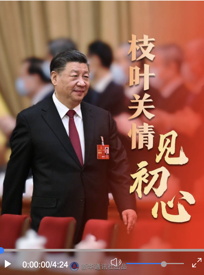 時政微紀錄｜枝葉關情見初心