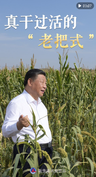 微紀(jì)錄片｜真干過(guò)活的“老把式”