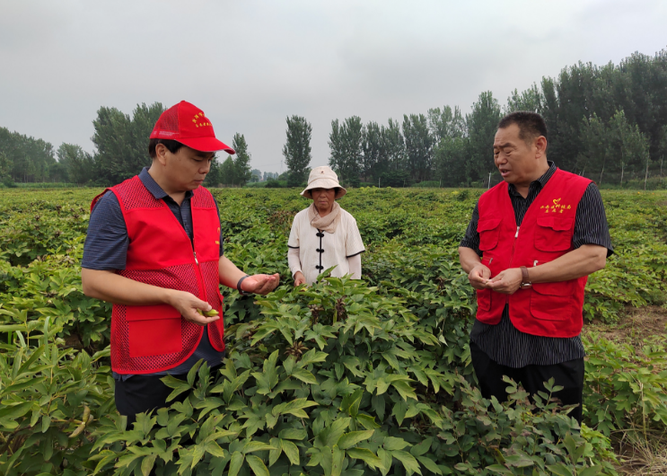 菏澤市科技特派員: 送科技下鄉(xiāng)為鄉(xiāng)村振興添智增力