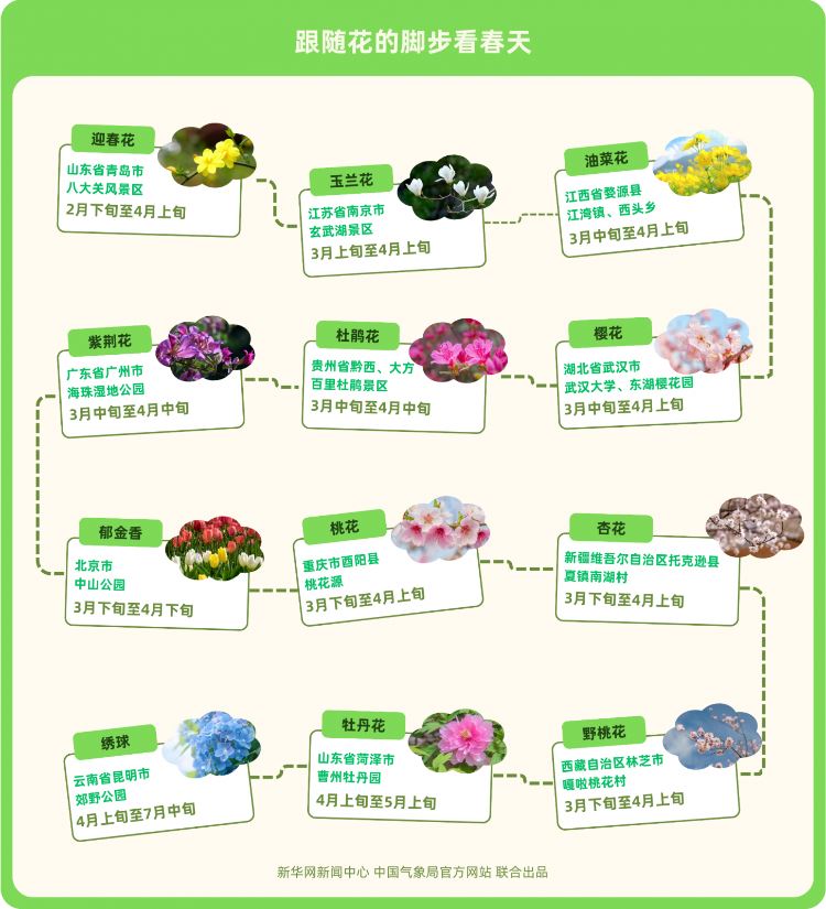 點(diǎn)亮全國(guó)春季賞花地圖，2025年菏澤牡丹觀賞最全攻略來(lái)了！